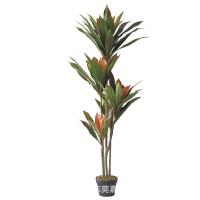 uploads/erp/collection/images/Home Garden/dgjiawang/XU0612921/img_b/XU0612921_img_b_4